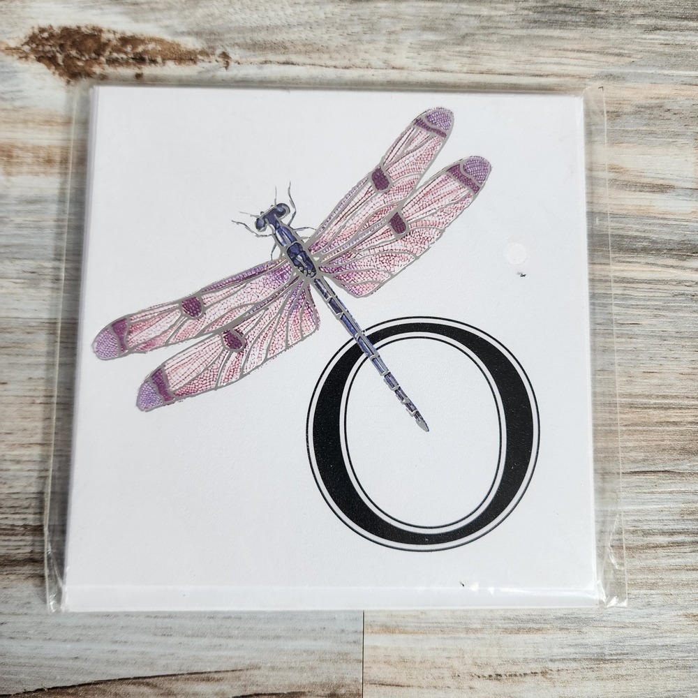 Michaels Springtime Bugs Notecards 6pc Set Letter O Dragonfly Purple Silver Foil